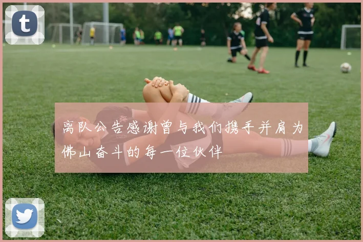 离队公告感谢曾与我们携手并肩为佛山奋斗的每一位伙伴