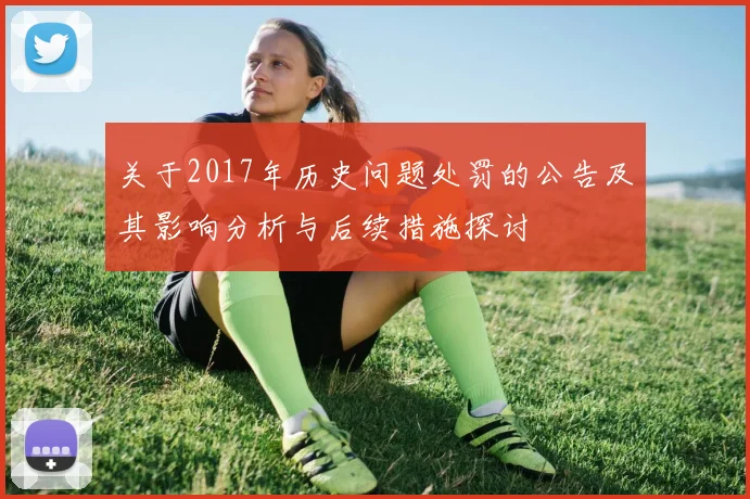 关于2017年历史问题处罚的公告及其影响分析与后续措施探讨